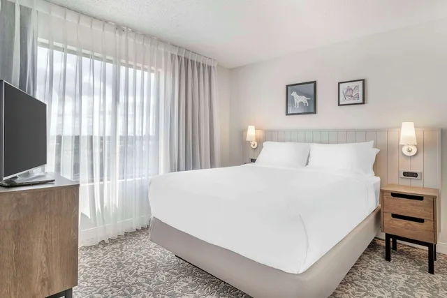 جناح بسريرين كوين بغرفتي نوم مع أريكة لذوي الإعاقة، Sonesta ES Suites San Antonio Downtown Alamo Plaza 1/6