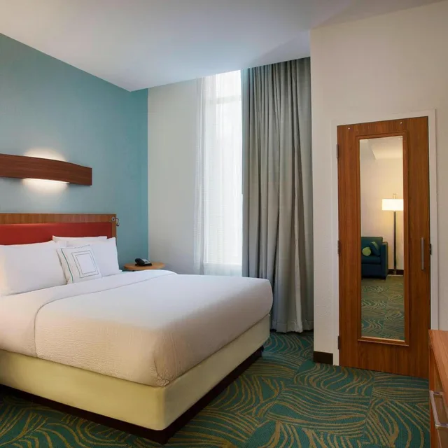استوديو بسرير كينج مع أريكة بحوض استحمام لذوي الإعاقة، Springhill Suites Houston Downtown/Convention Center 1/4