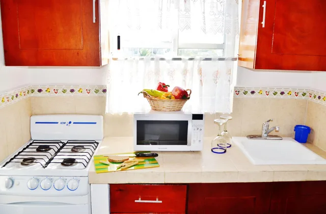 1 Bedroom, Deluxe, Suite, Partial Ocean View, Kitchen, Corales Suites 8/8