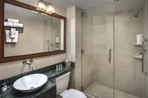 جناح، Doubletree By Hilton New York Downtown 1/1