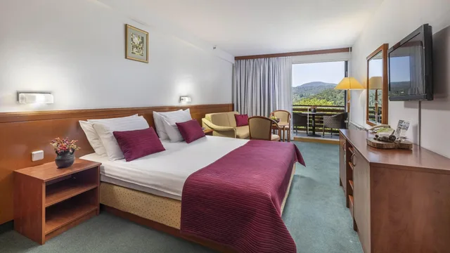 Superior, Double Bed, Lake Side، Hotel Jezero - Plitvice Lakes National Park 3/4