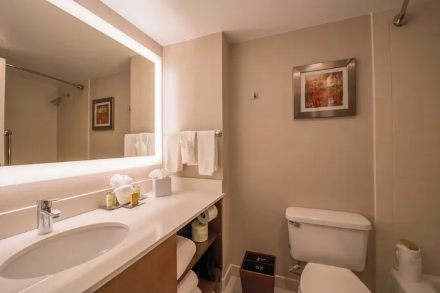 Standard, Single, Queen Bed, The Brookhaven Atlanta Hotel 4/4