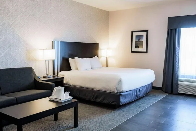 Room, King Bed, Sofa, Park Inn By Radisson Edmonton Airport 4/9