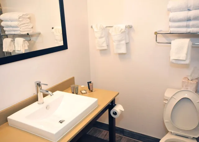 غرفة قياسية بسريرين كوين بإطلالة على النهر، Riverview Inn & Suites, Ascend Hotel Collection 8/8