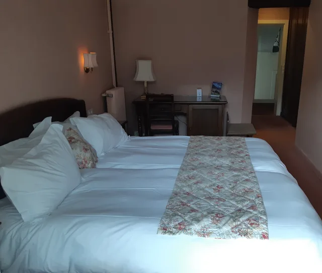 غرفة قياسية بسرير مزدوج، Hotel Regina Wengen 2/5