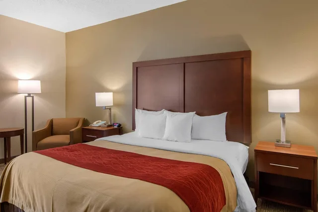 غرفة بسرير كينج لذوي الإعاقة، Comfort Inn Chester - Richmond South 4/10