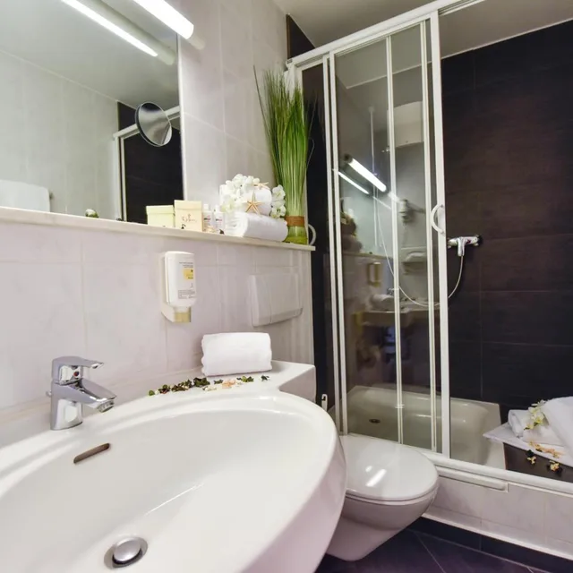 غرفة قياسية بسرير مزدوج، Atrium Hotel Amadeus 9/9