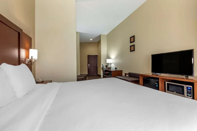 جناح بسرير كينج مع أريكة لذوي الإعاقة، Comfort Suites West Dallas Cockrell Hill 2/3