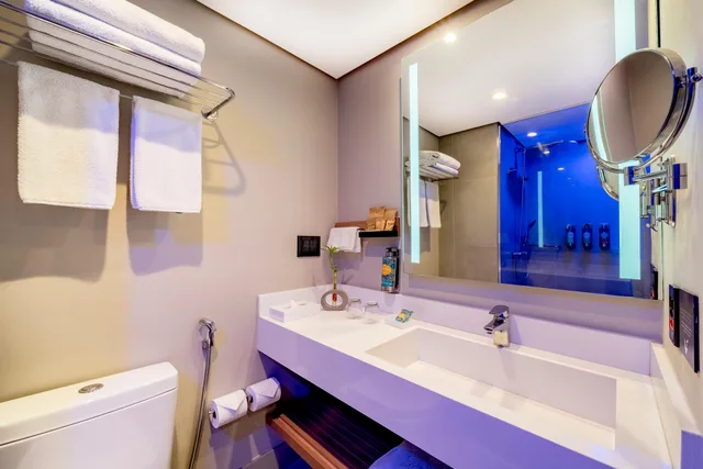 شقة تنفيذية بإطلالة على المتنزه بغرفة نوم واحدة، Grand Mercure SP Itaim Bibi 4/5