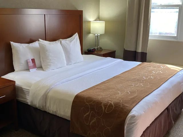 جناح بسرير كينج لذوي الإعاقة، Comfort Suites Near Casinos 3/10