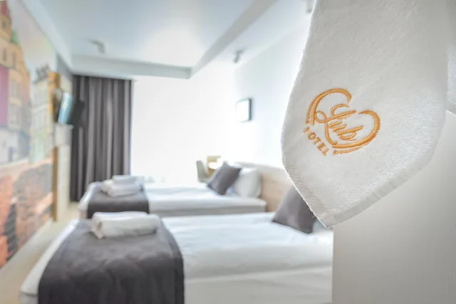 غرفة ديلوكس بسرير مزدوج، Lubhotel 5/6