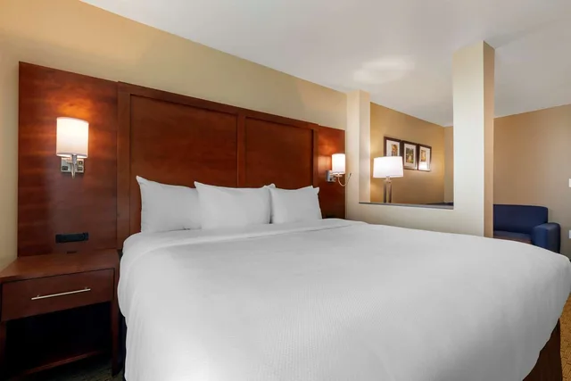 جناح بسرير كينج، Comfort Inn & Suites Euless DFW West 2/3