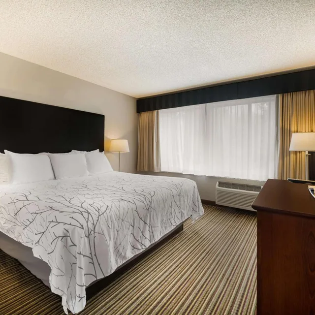 غرفة بسرير كينج مع أريكة، Best Western Park Oasis Inn 1/7