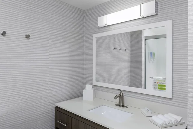 Basic, Studio, Suite, King Bed, Home2 Suites by Hilton Austin East Side 5th Street 4/4