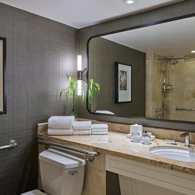 غرفة ديلوكس بسريرين مزدوجين، The Whitley A Luxury Collection Hotel Atlanta Buckhead 6/6
