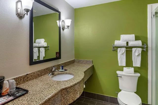 جناح بسرير كينج، Sleep Inn & Suites Stockbridge Atlanta South 5/5