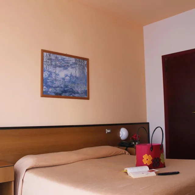 غرفة بسرير مزدوج، Hotel Aries 4/8