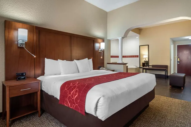 Suite, King Bed, Comfort Suites Woodstock - Atlanta North 1/4