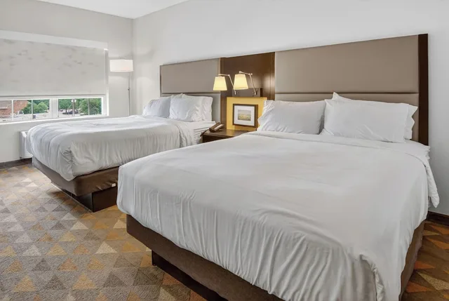 غرفة قياسية بسريرين كوين، Holiday Inn Express Hotel And Suites Dallas Addison 1/5