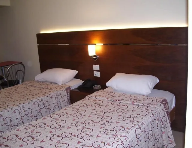غرفة قياسية بسريرين منفصلين بإطلالة على المدينة، Pharaohs Hotel 1/1