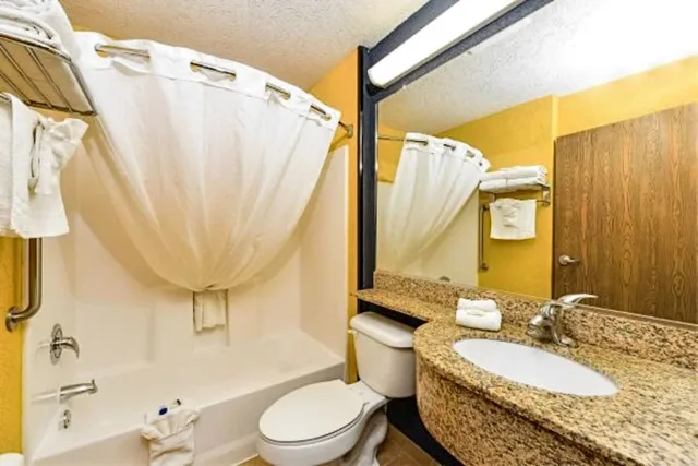 جناح بسرير كينج مع أريكة لذوي الإعاقة، Microtel Inn & Suites by Wyndham New Braunfels 7/8