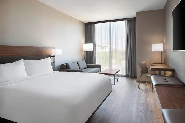 غرفة بسرير كينج مع أريكة لذوي الإعاقة، AC Hotel Pittsburgh Downtown 1/4