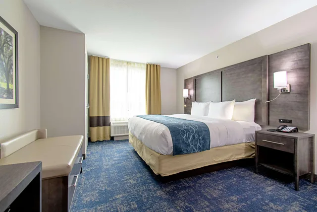 Suite, King Bed, Accessible, Comfort Suites Humble Houston IAH 1/2
