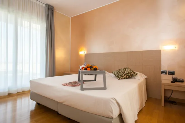 جناح كبير، Palace Hotel Zingonia 1/10