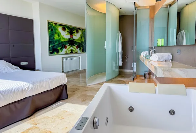 غرفة ديلوكس بسرير كينج، Sercotel Jardines de Uleta Suites 5/6