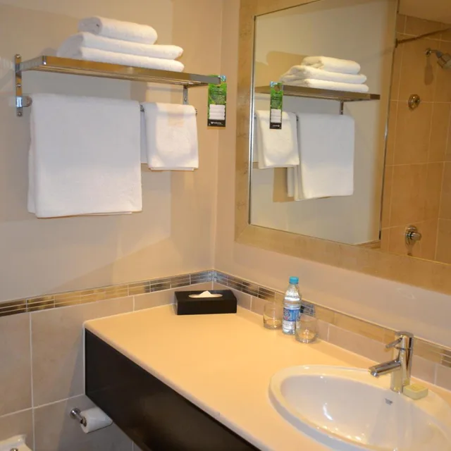 غرفة تنفيذية بسرير كينج للمدخنين، Southern Sun Pretoria 4/8