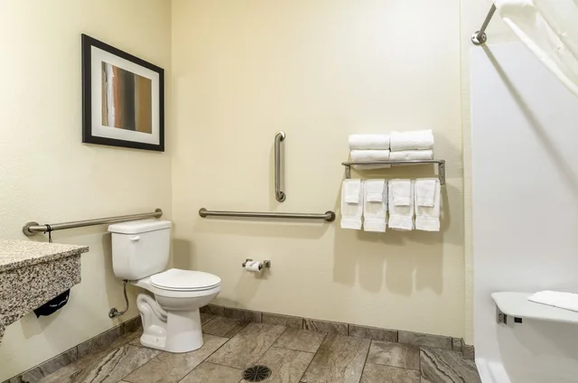 Room, King Bed, Accessible, Cobblestone Hotel & Suites - Paxton 9/12