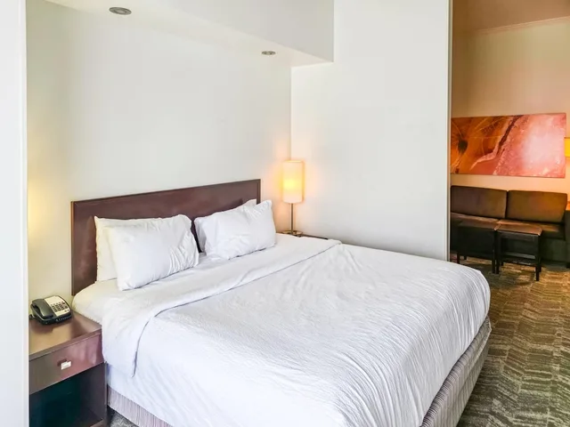 جناح بسرير كينج، SpringHill Suites by Marriott Ardmore 1/1