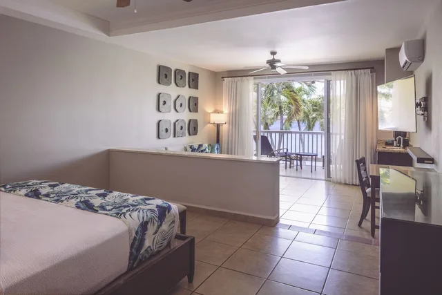جناح ملكي بسرير كينج، St. James’s Club Resort & Villas 6/10