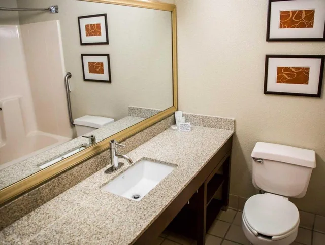 جناح بغرفة نوم واحدة، Comfort Suites Sioux Falls Mall District SD 4/4