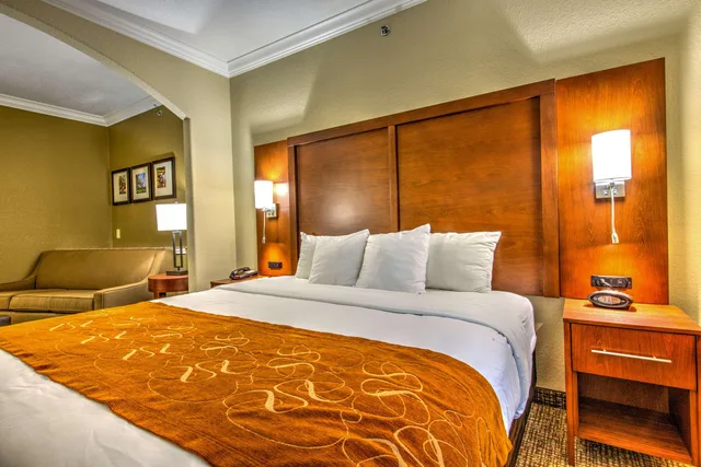 Suite, King Bed, Accessible, Comfort Suites Tomball Medical Center, TX 1/5