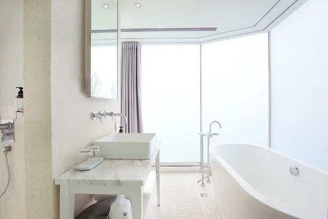 Deluxe Room with City View, Ambience Hotel 14/15