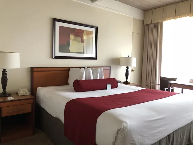 غرفة قياسية بسرير كوين، Mikado Hotel 2/3