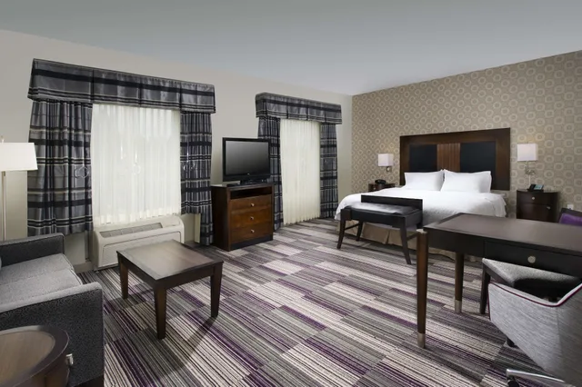 Studio, King Bed, Sofa, Accessible, Hampton Inn & Suites Chicago Southland Matteson 1/4