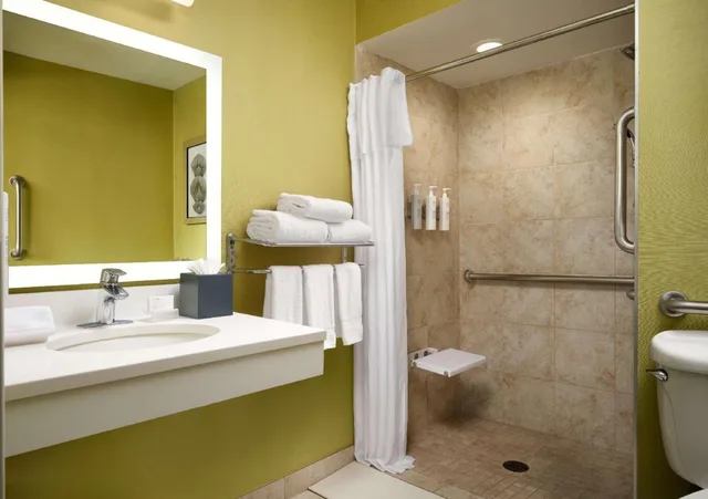 غرفة بسرير كوين بإطلالة على البحيرة بغرفة نوم واحدة لذوي الإعاقة، Homewood Suites By Hilton Chicago Downtown/Magnificent Mile 2/2