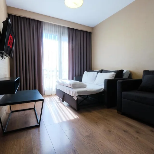 1 Bedroom, Apartment, Sofa, Endless Comfort Hotel Taksim 2/8