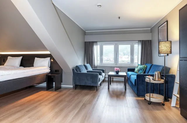 غرفة بزنس بسرير مزدوج، Thon Hotel Baronen 2/4