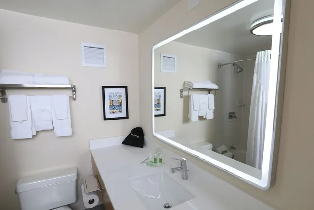 Premium, King Bed, Holiday Inn & Suites Chicago North Shore (Skokie) 6/6