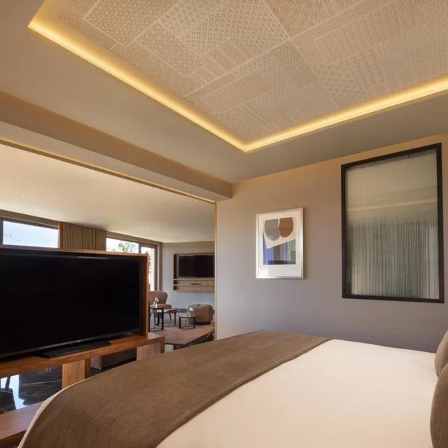 جناح تنفيذي، Hotel Jadali & Spa 2/2
