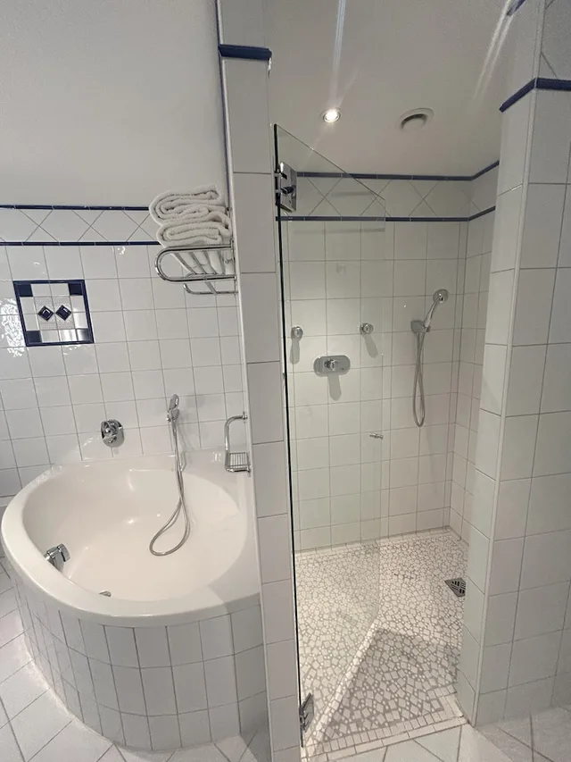 غرفة ديلوكس بسرير مزدوج بإطلالة على المتنزه بشرفة، Vichy Celestins Spa Hotel 8/9