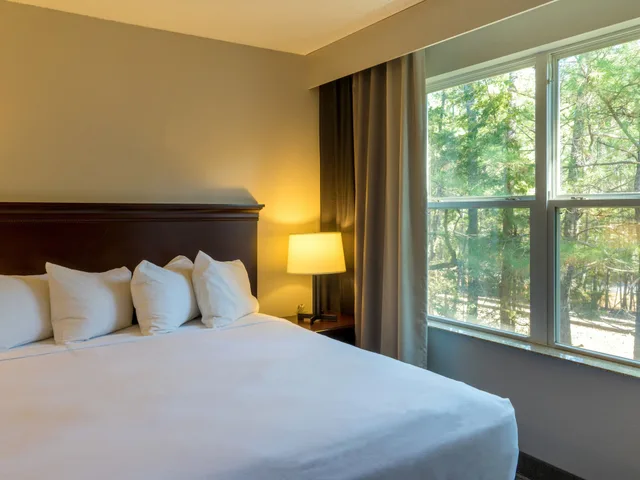 جناح بسرير كينج بغرفة نوم واحدة لذوي الإعاقة، Country Inn & Suites By Radisson, Doswell (Kings Dominion), VA 2/8