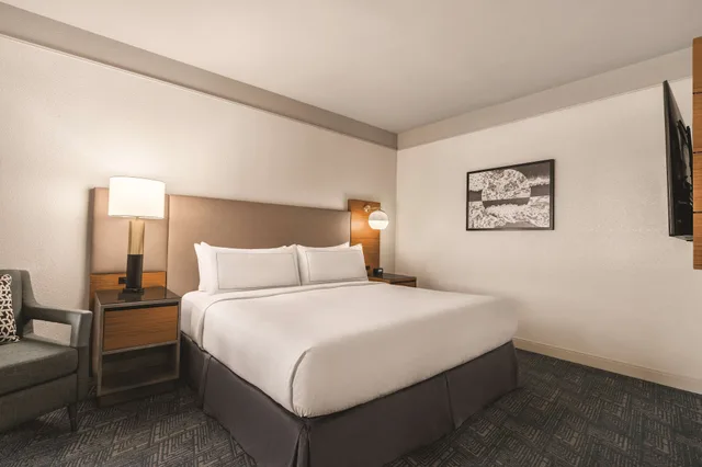 جناح بسرير كينج بشرفة لذوي الإعاقة، Doubletree By Hilton Tampa Rocky Point Waterfront 2/7