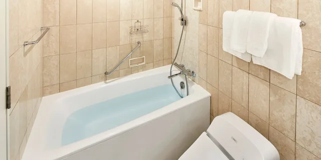 Nikko, Standard, Twin Beds, Lounge Access، Grand Nikko Tokyo Bay Maihama 2/2