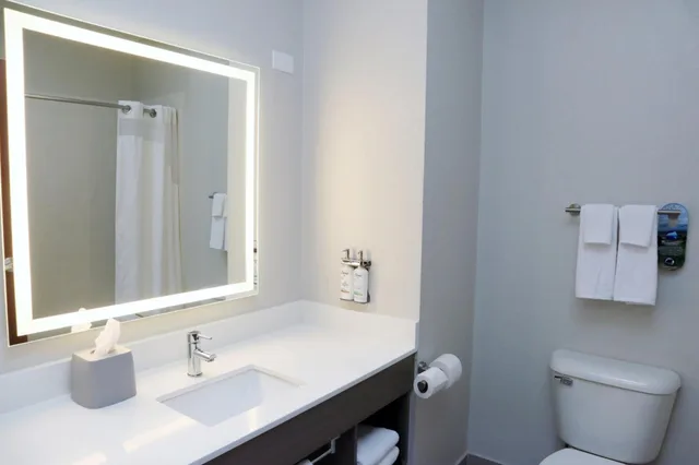 جناح بسرير كينج بغرفة نوم واحدة، Holiday Inn Express Hotel And Suites Baton Rouge North 3/4