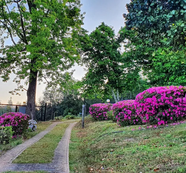 Lind End Guest Farm، Tzaneen 21/29