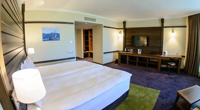 غرفة تنفيذية بسرير مزدوج أو سريرين منفصلين، Hot Springs Medical & Spa Hotel 4/8